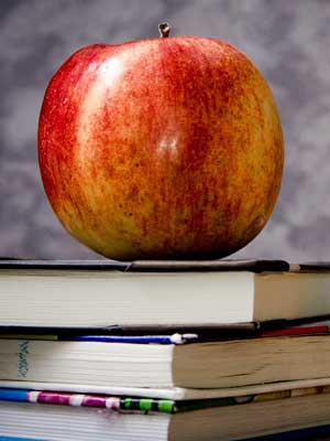 网页DDOS攻击平台